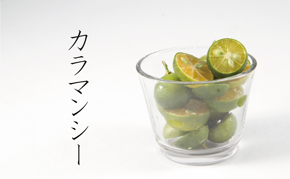 体液のミネラルバランスに沿って配合されたお出汁、児（kodama）。鉄分、ミネラル分、ビタミンの補給に。越後村上の塩引き鮭、白いダイヤ、極楽塩、まぐろ節、けしの実、GABA、カラマンシーなどを配合